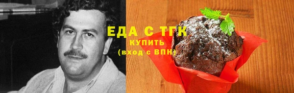 индика Михайлов