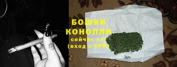PSILOCYBIN Медвежьегорск