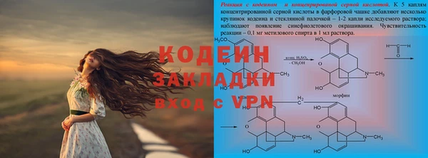 индика Михайлов