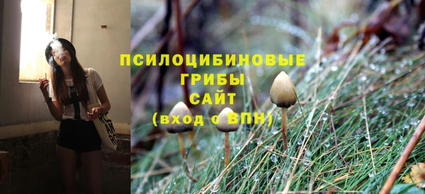 герыч Медногорск