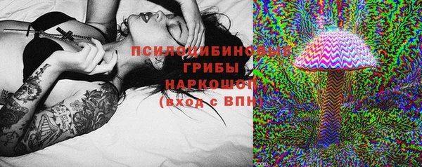 PSILOCYBIN Медвежьегорск