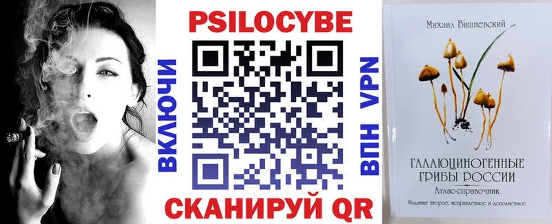 Купить где  Томмот  Галлюциногенные грибы мицелий 
