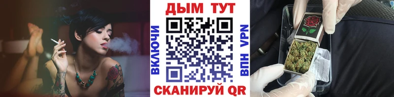 Бошки марихуана сатива  Купить закладки  Томмот 